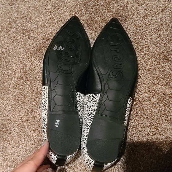 Sam Edelman Cirus Elissa Flats - Picture 4 of 4